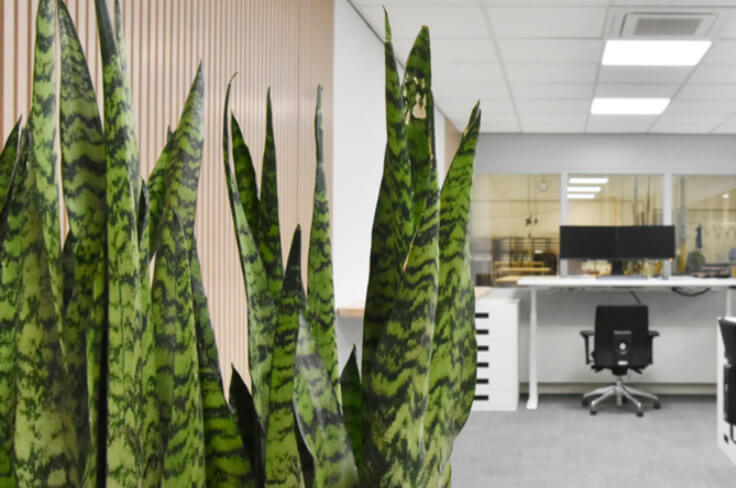 Prachtig werk vastgelegd